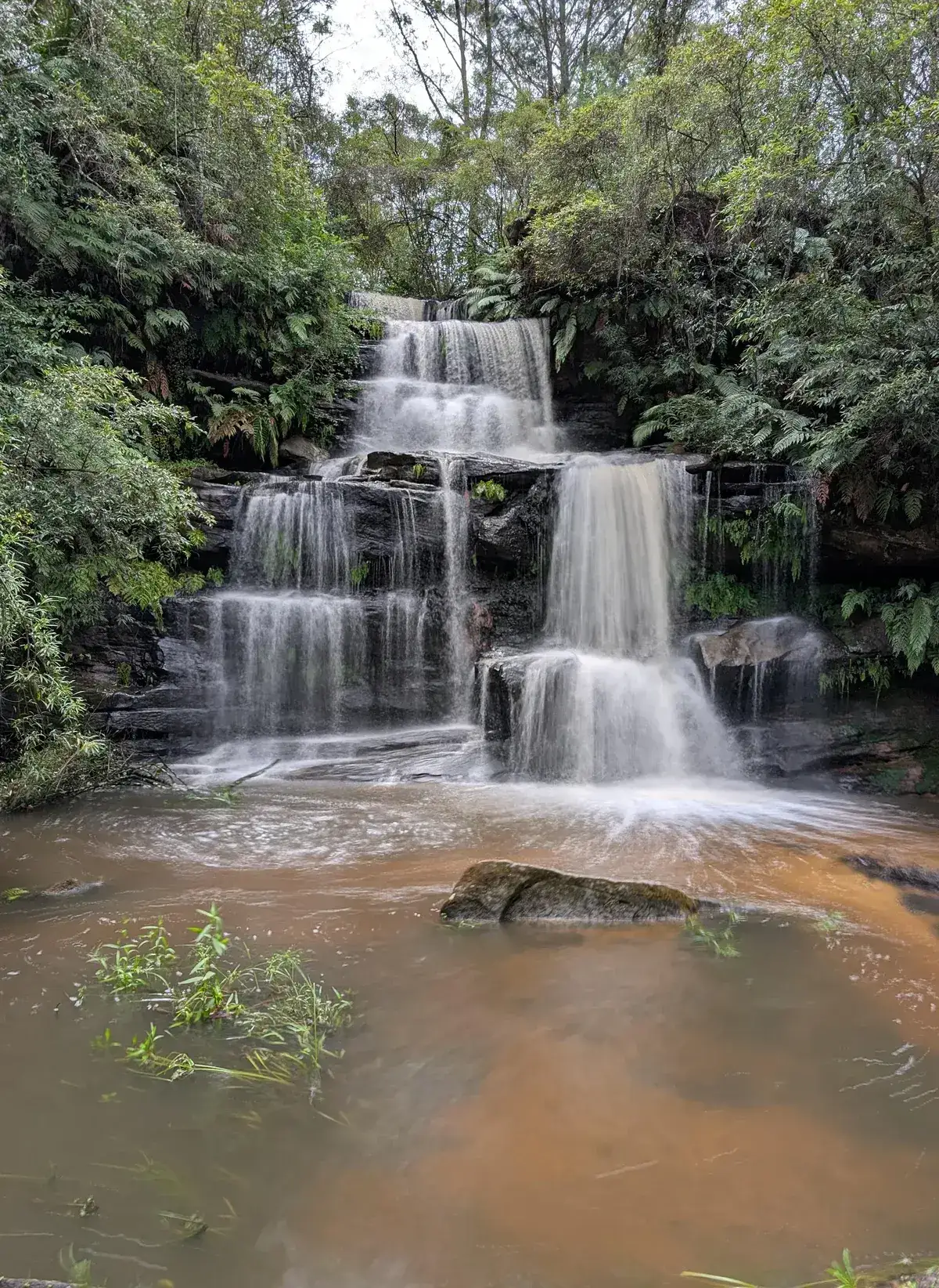 close up vertical view of the tallest cascade at Ironbark Falls flanked by ferns
