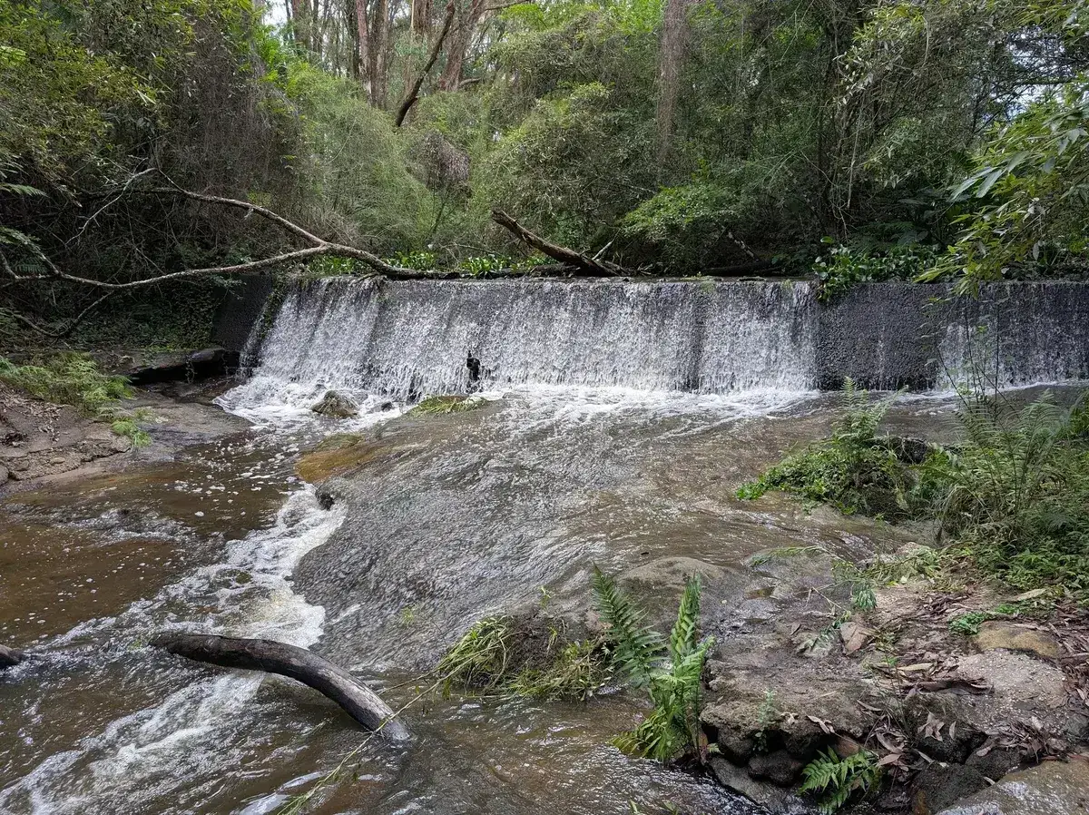 small weir spilling white water into Ironbark Creek surrounded by rainforest