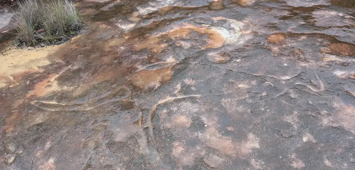 sandstone rock surface with weathered grooves and orange mineral staining
