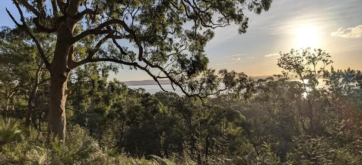 red gum loop near the entrance