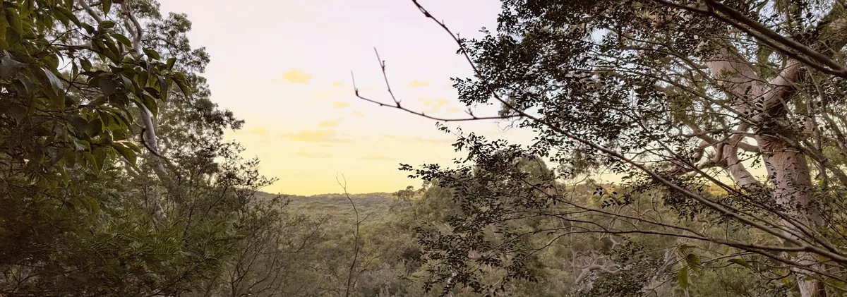 Red gum loop