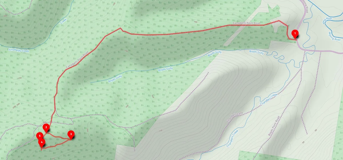 topographic map with a red trail line and five numbered waypoints for the Ritcher's Cave walk