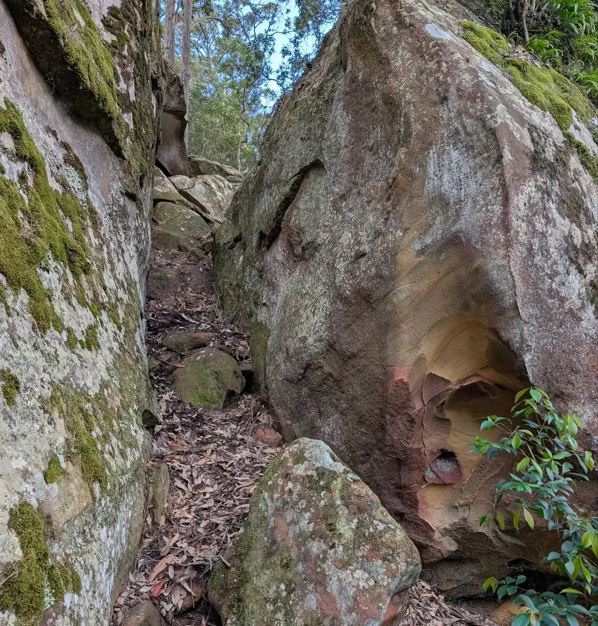 leaf strewn passage between two large moss covered sandstone boulders with a small alcove