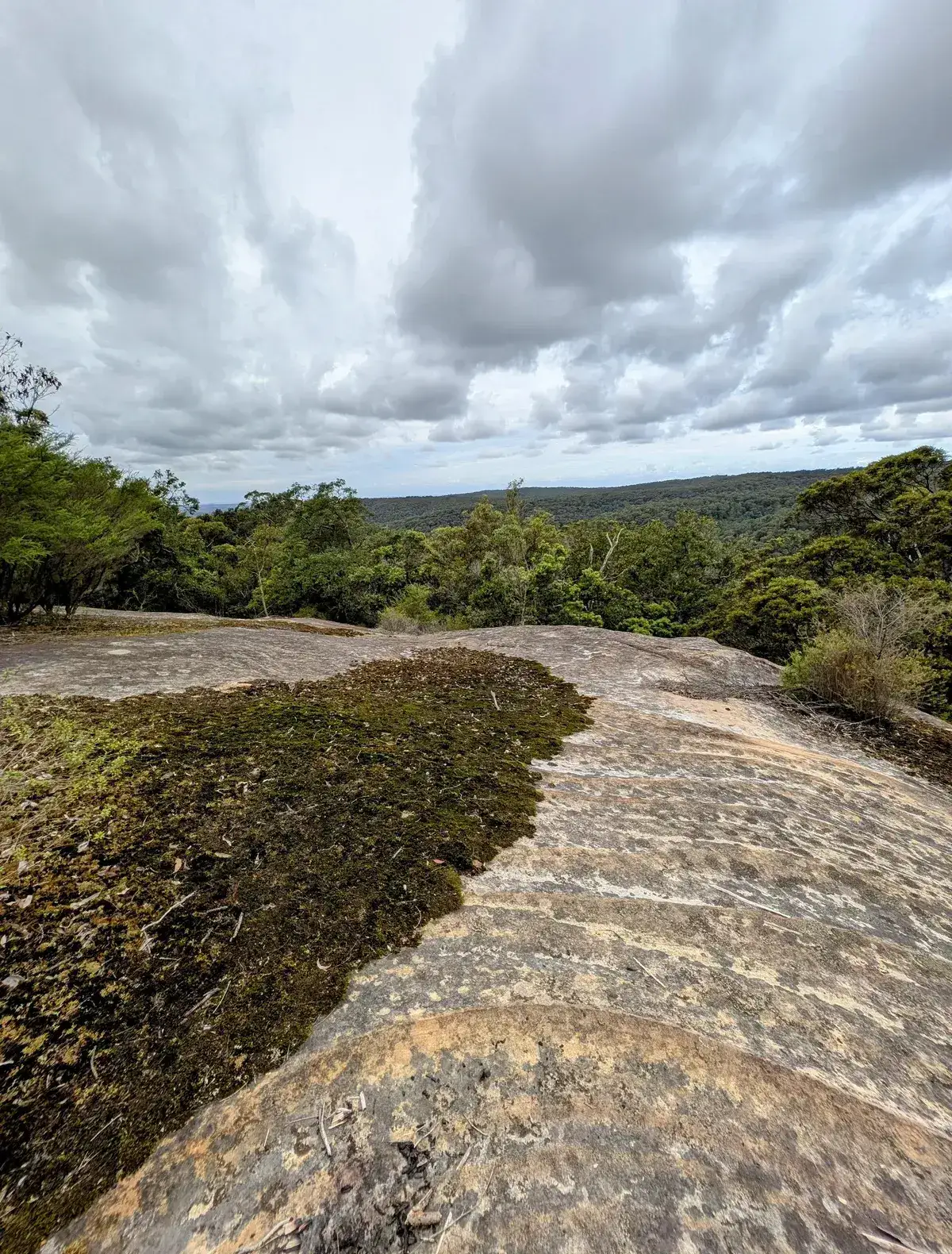 cloudy sky over a mossy sandstone rock platform lookout above the forest canopy