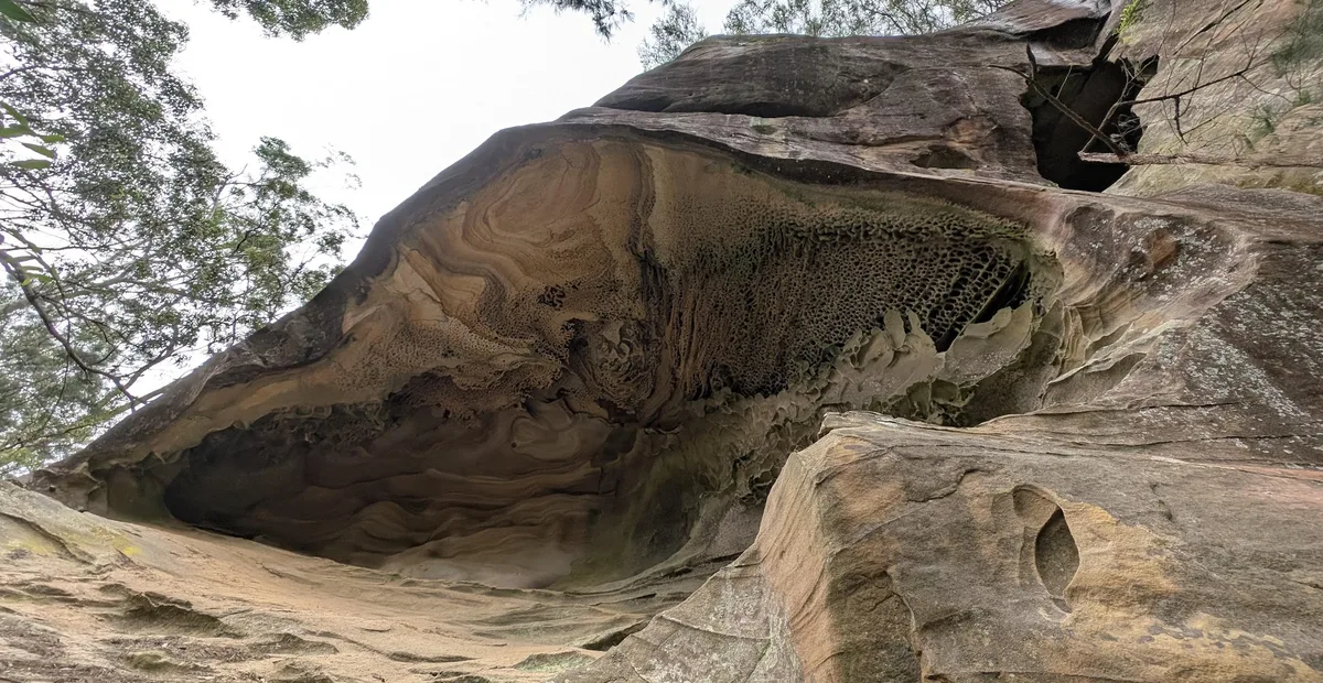 Honeycombed cave ceiling seen from further along the cliff line