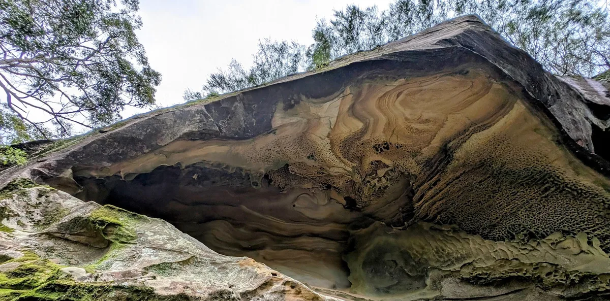 Honeycombed cave ceiling glowing where daylight reaches the dark interior