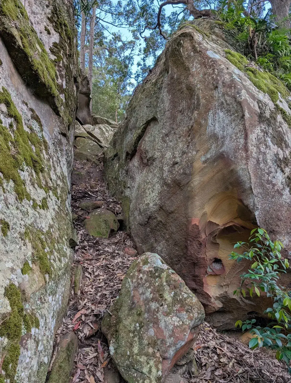 Rocky path squeezed between two mossy boulders leading toward the cave