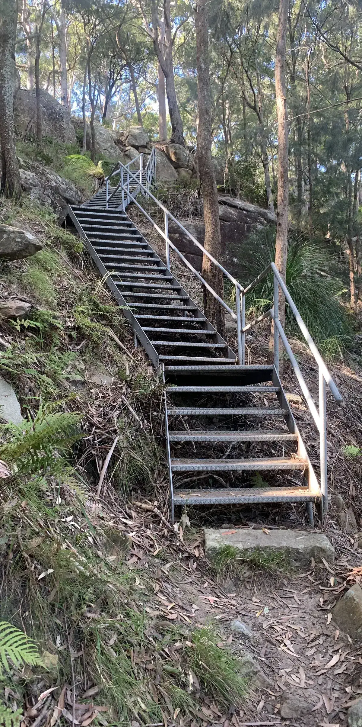 Long steel staircase descending through dense bushland