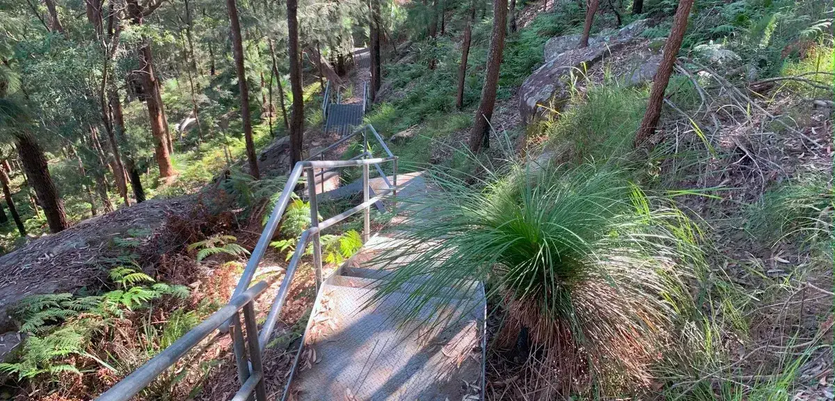 Steel walkway and staircase passing a grass tree on the ridge