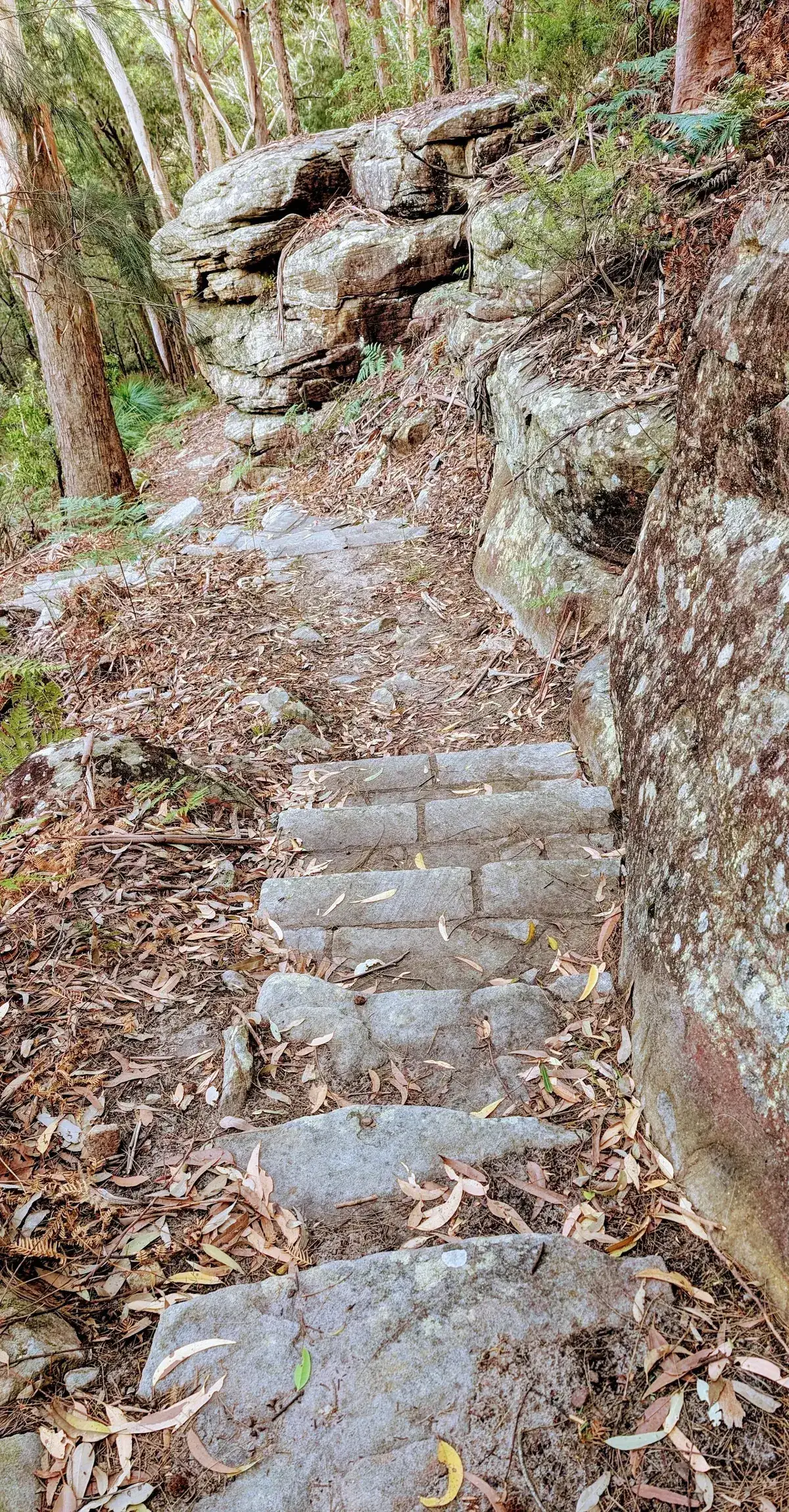 Rumbalara - North Gosford Tottenham Place Circuit (3km) photo 10