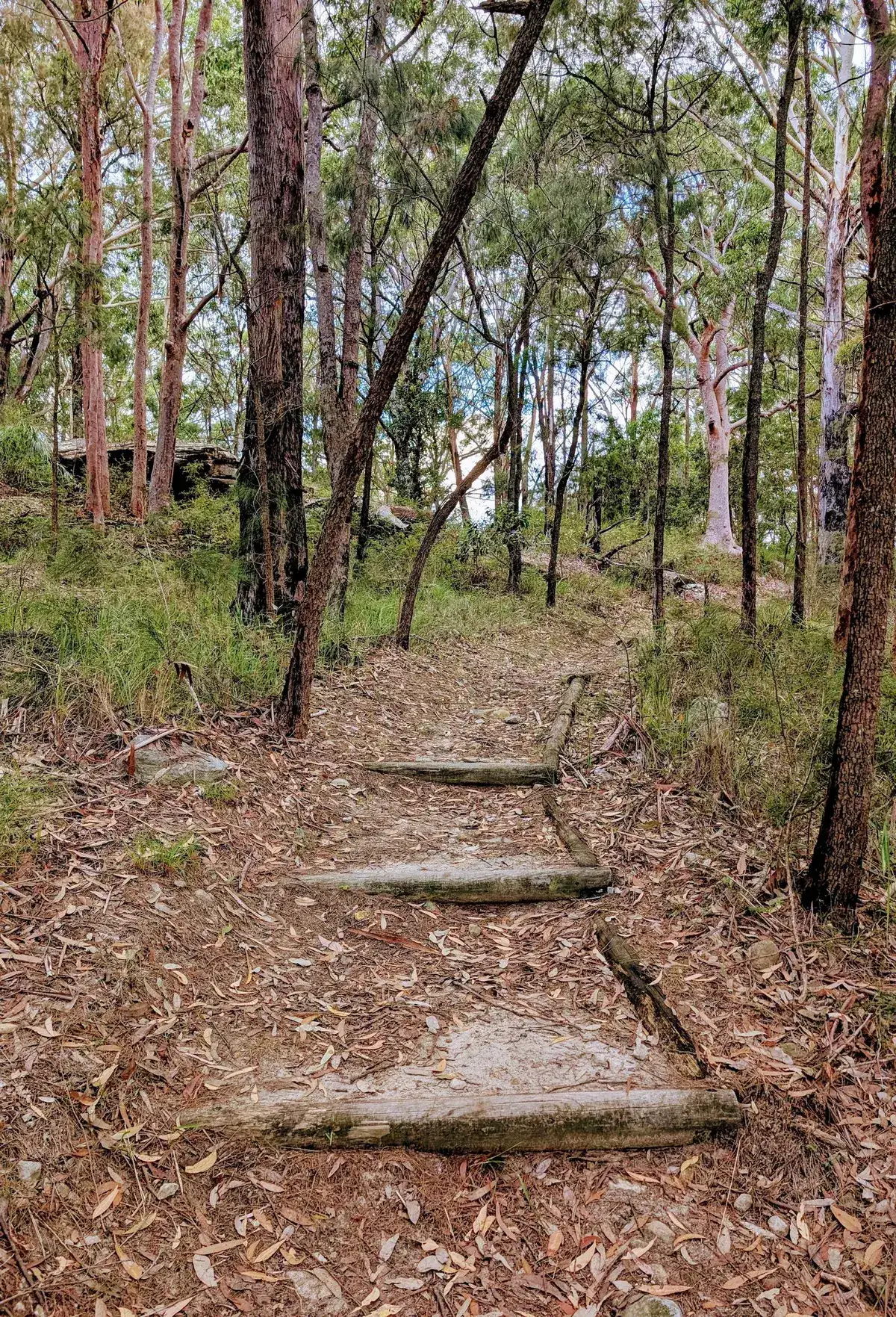 Rumbalara - North Gosford Tottenham Place Circuit (3km) photo 20