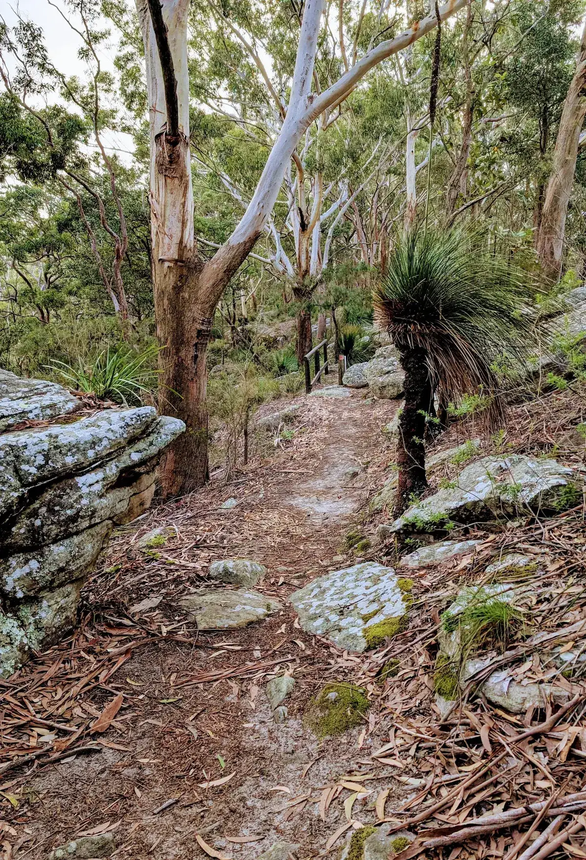 Rumbalara - North Gosford Tottenham Place Circuit (3km) photo 25