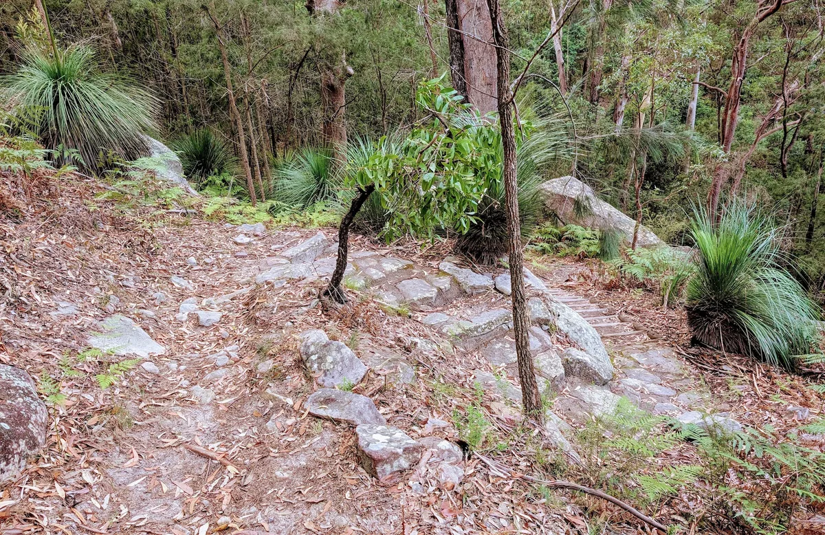 Rumbalara - North Gosford Tottenham Place Circuit (3km) photo 30