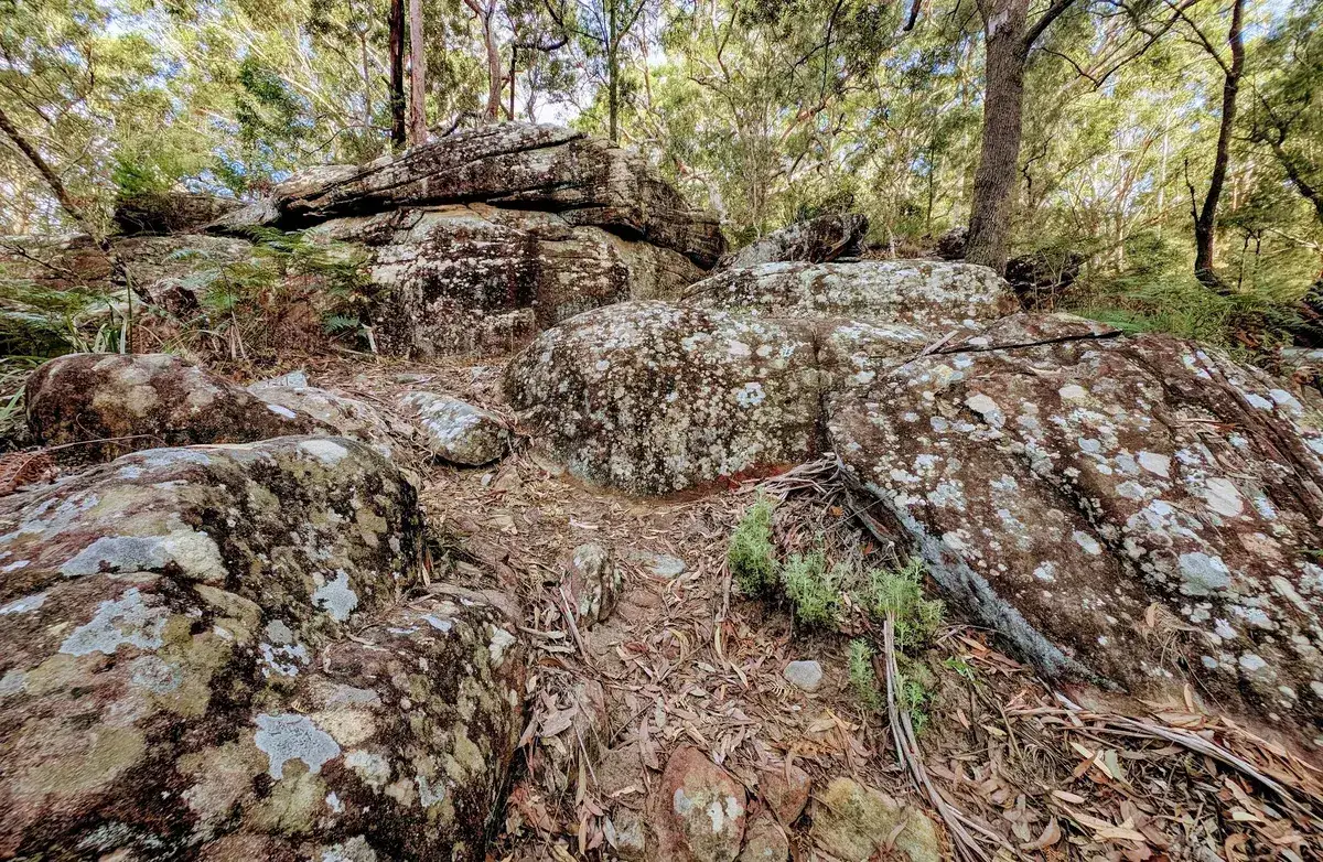 Rumbalara - North Gosford Tottenham Place Circuit (3km) photo 5