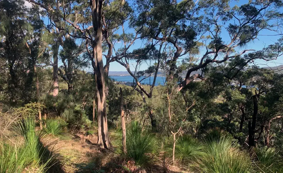 Rumbalara - North Gosford Tottenham Place Circuit (3km) photo 8