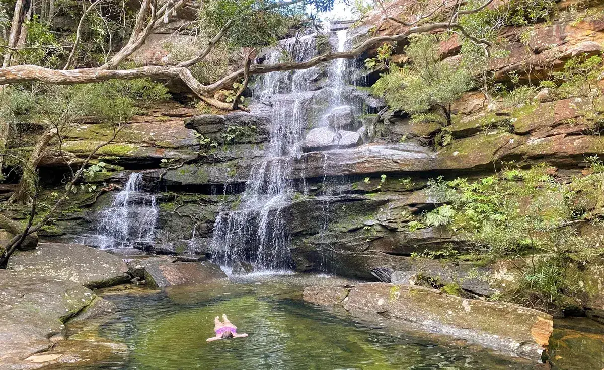 Sign up for bushwalks on the central coast