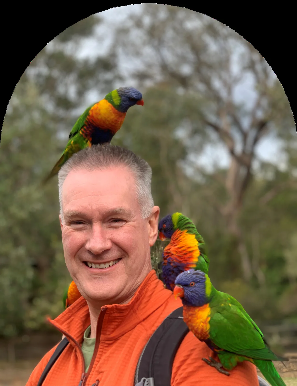 Dave Cullen in an orange jacket with three rainbow lorikeets perched on him