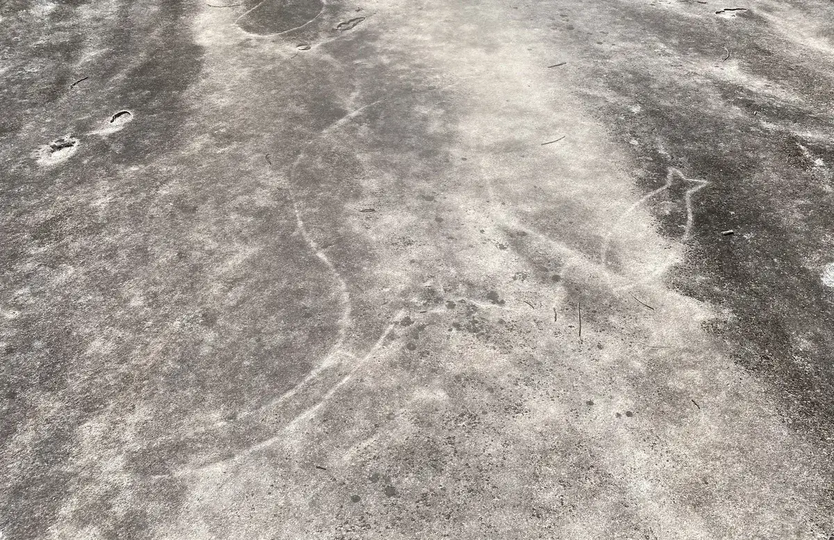 Somersby aboriginal engravings