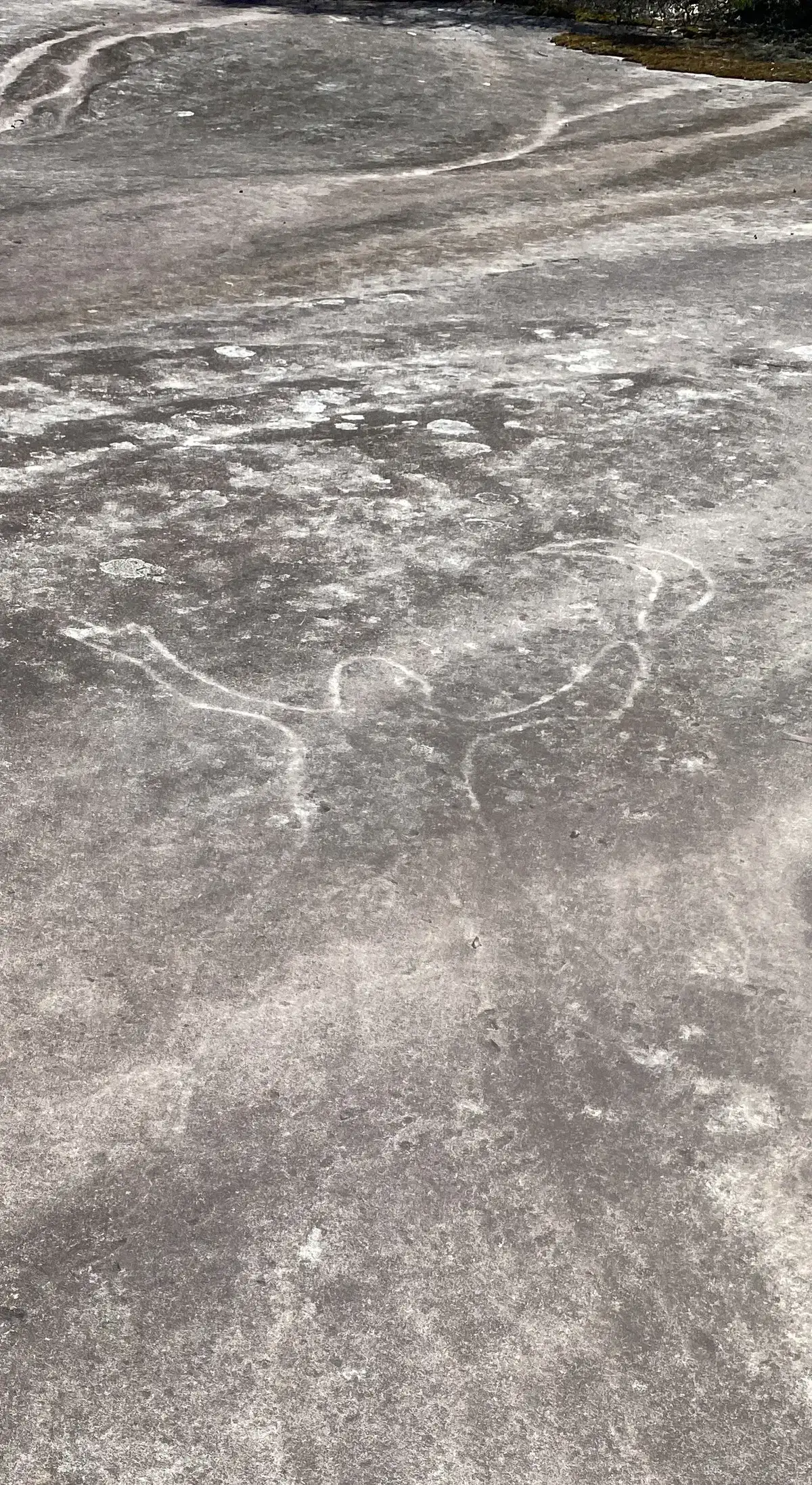 Somersby aboriginal engravings