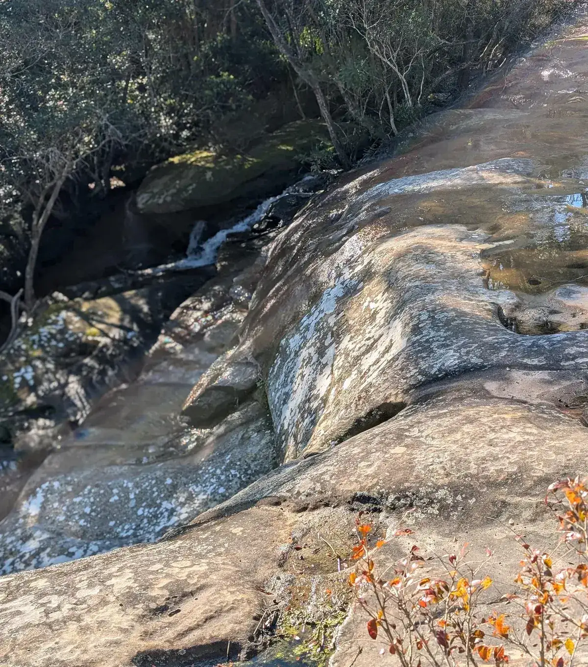 Water flowing over eroded sandstone potholes above Somersby Falls
