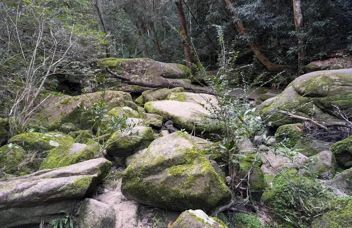Somersby falls lower swimming hole