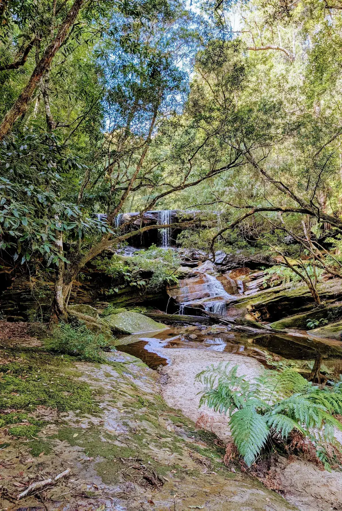 Somersby falls lower swimming hole