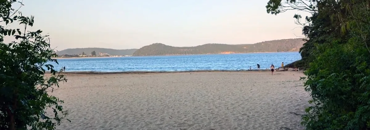South umina beach dog walk