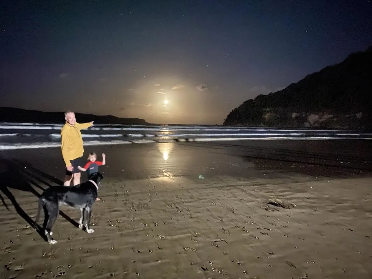 South umina beach dog walk