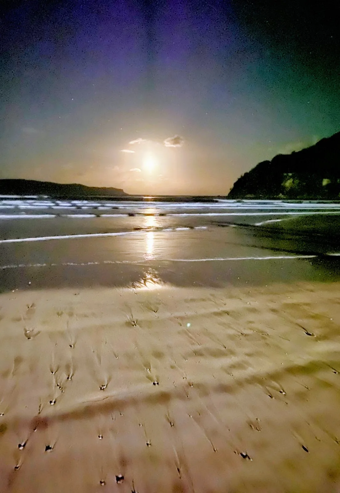 South umina beach dog walk