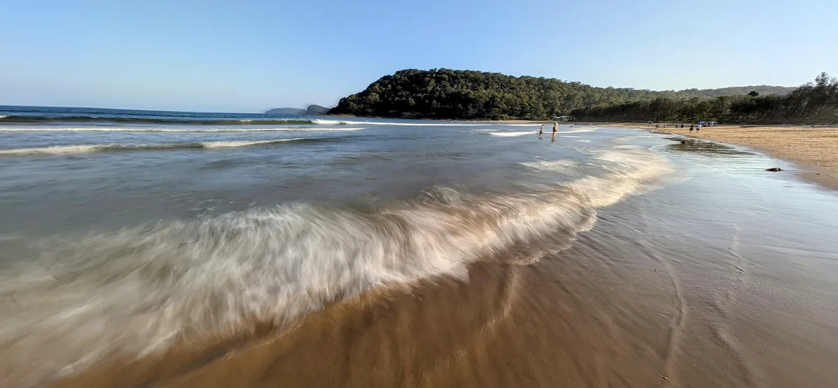 South umina beach dog walk