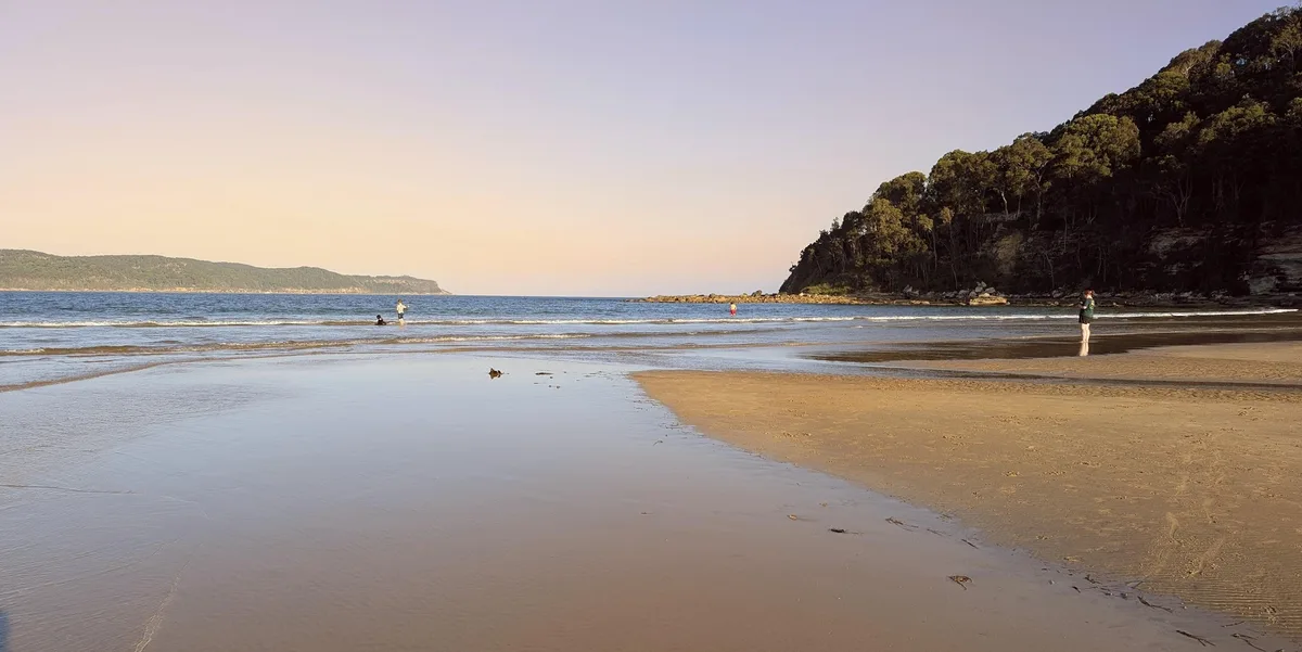 South umina beach dog walk