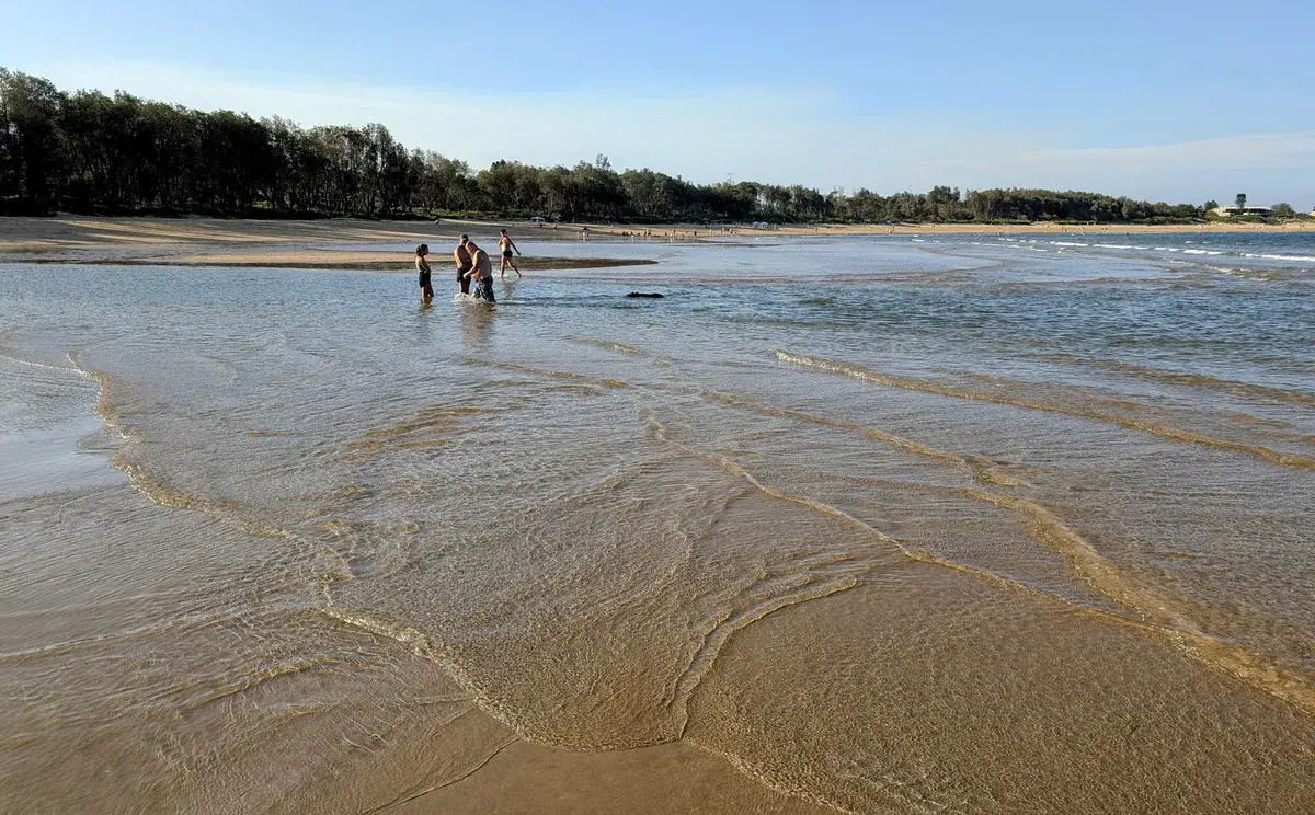 South umina beach dog walk