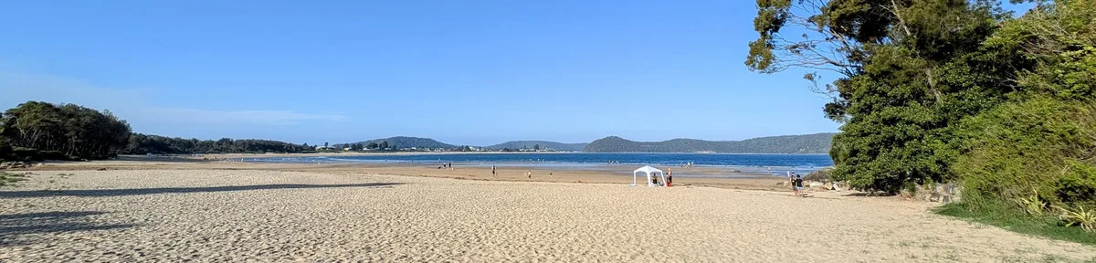South umina beach dog walk