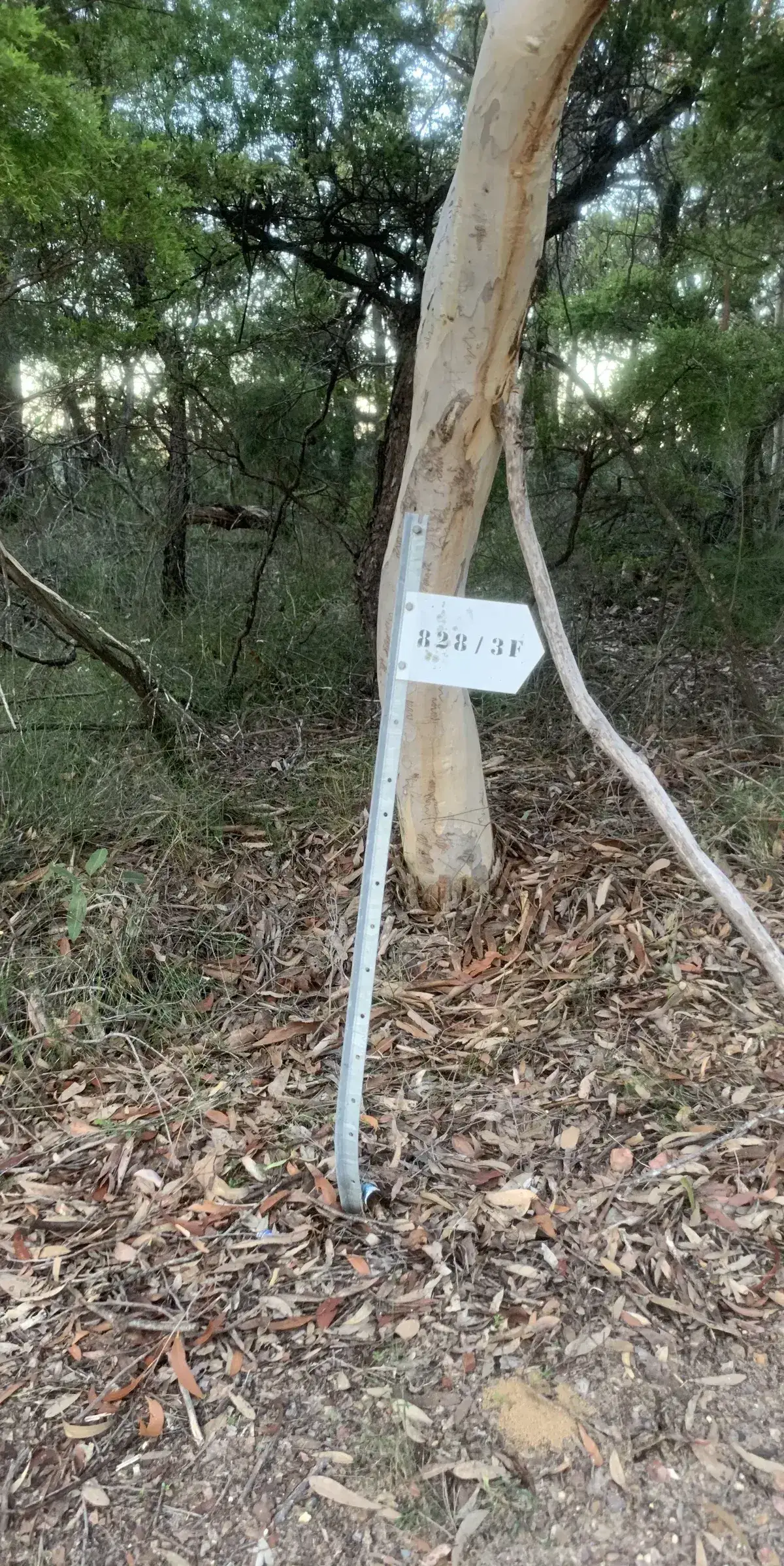 Marker at turnoff to spion kop