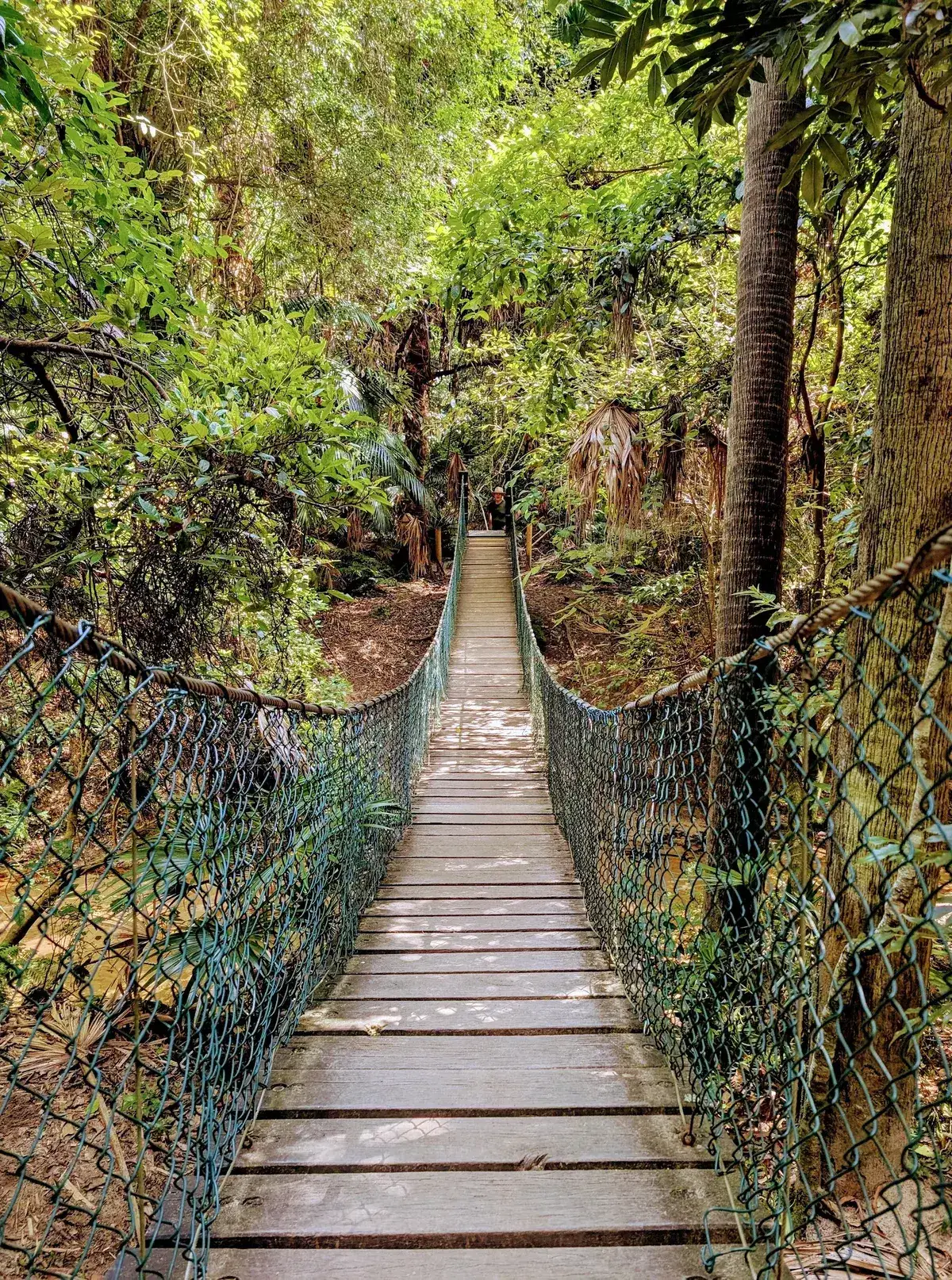 Strickland arboretum trail
