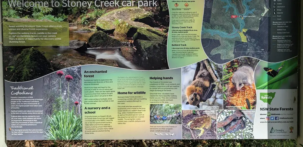 Strickland arboretum trail