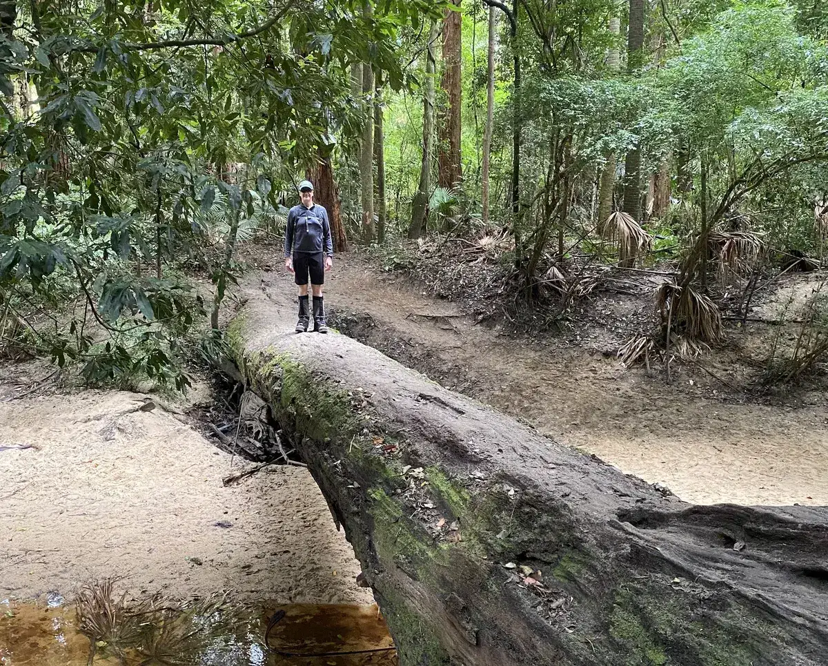 Strickland arboretum trail