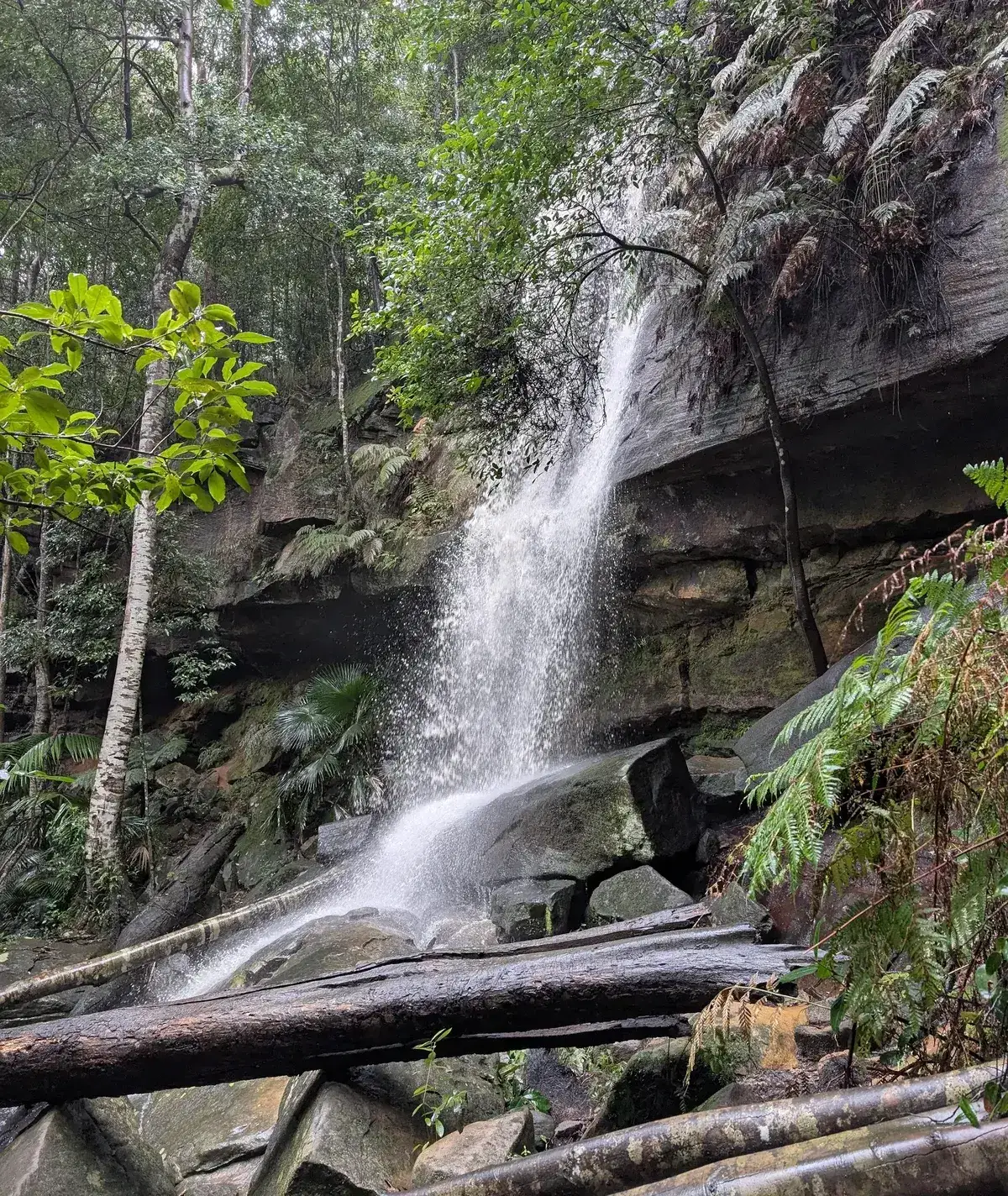 Waterfall cascading over a rock ledge into a fern lined gully