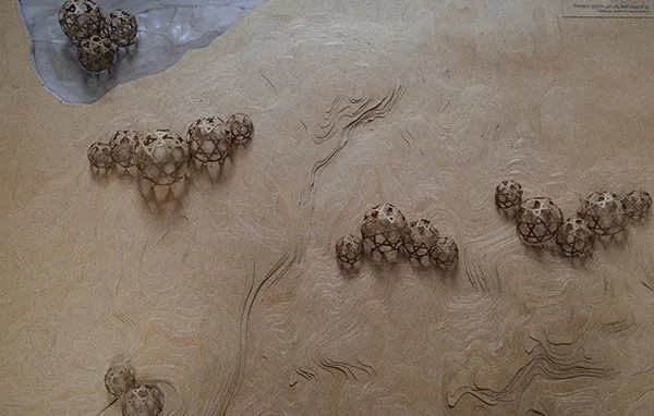 Cardboard Model of Mars Project