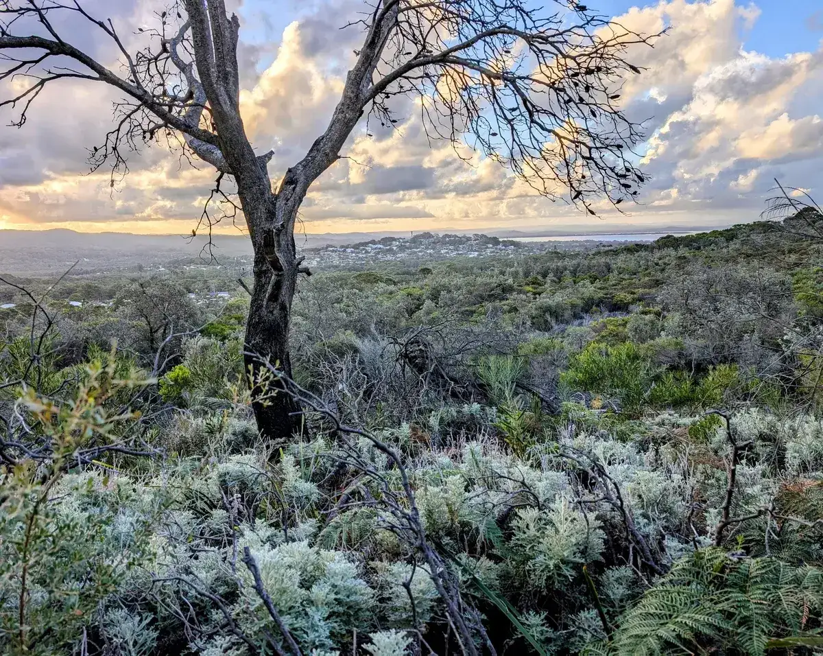 Three things to check before buying a home in the central coast