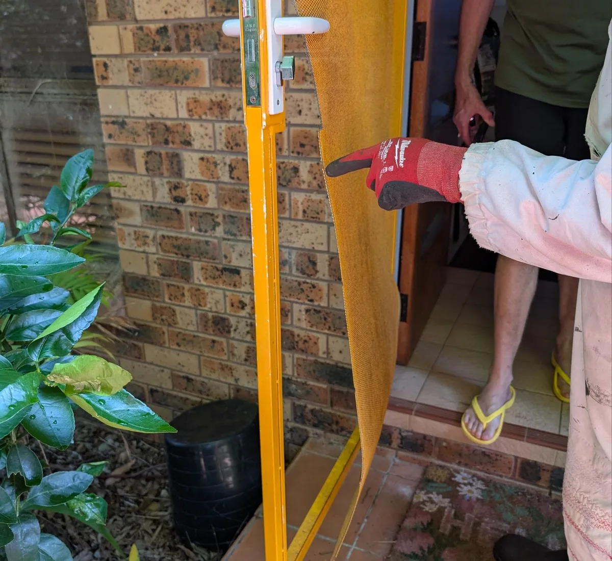 Three things to check before buying a home in the central coast