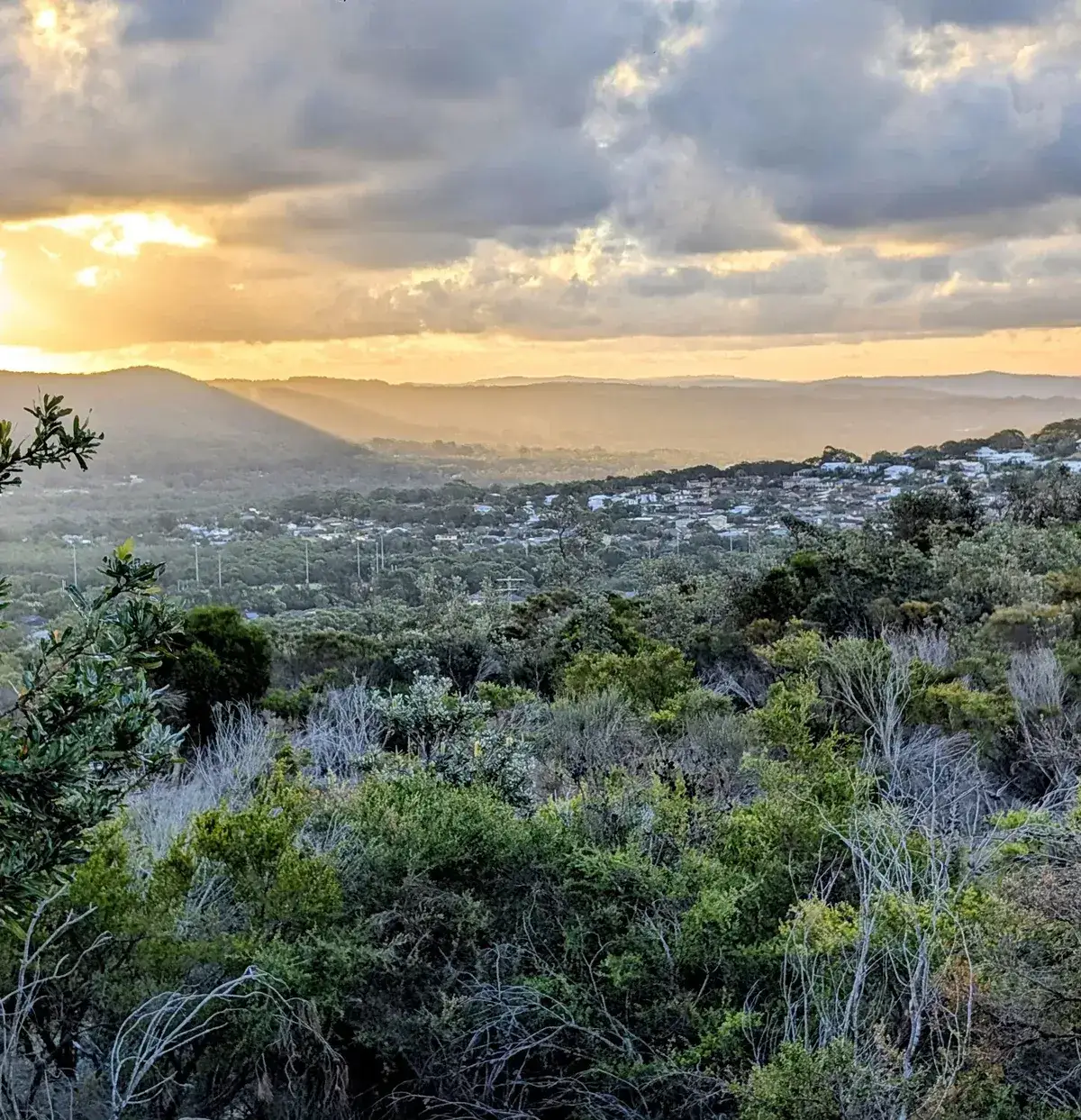 Life on the Central Coast