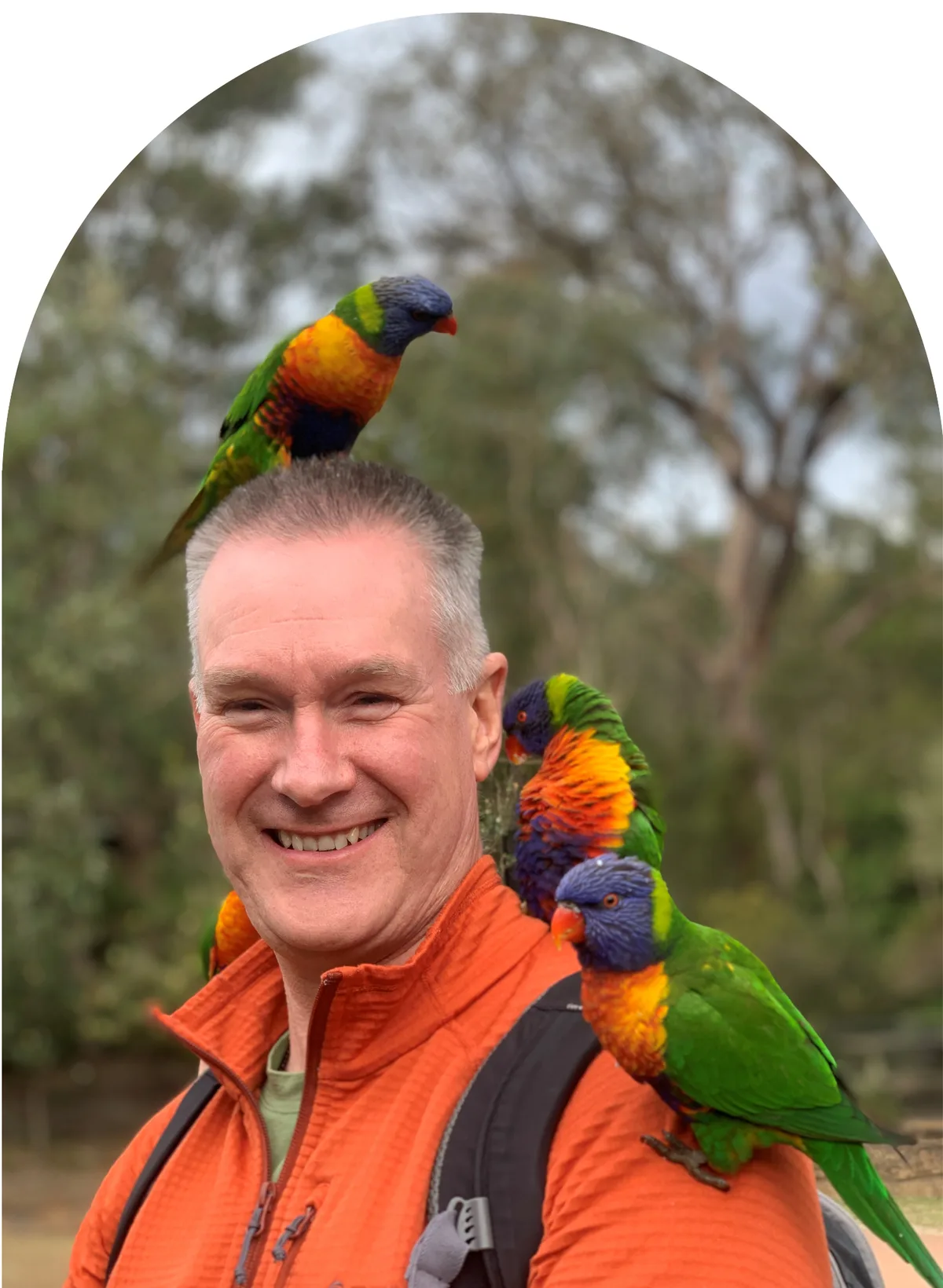 Rainbow lorikeets perched on Dave's head and shoulders outdoors