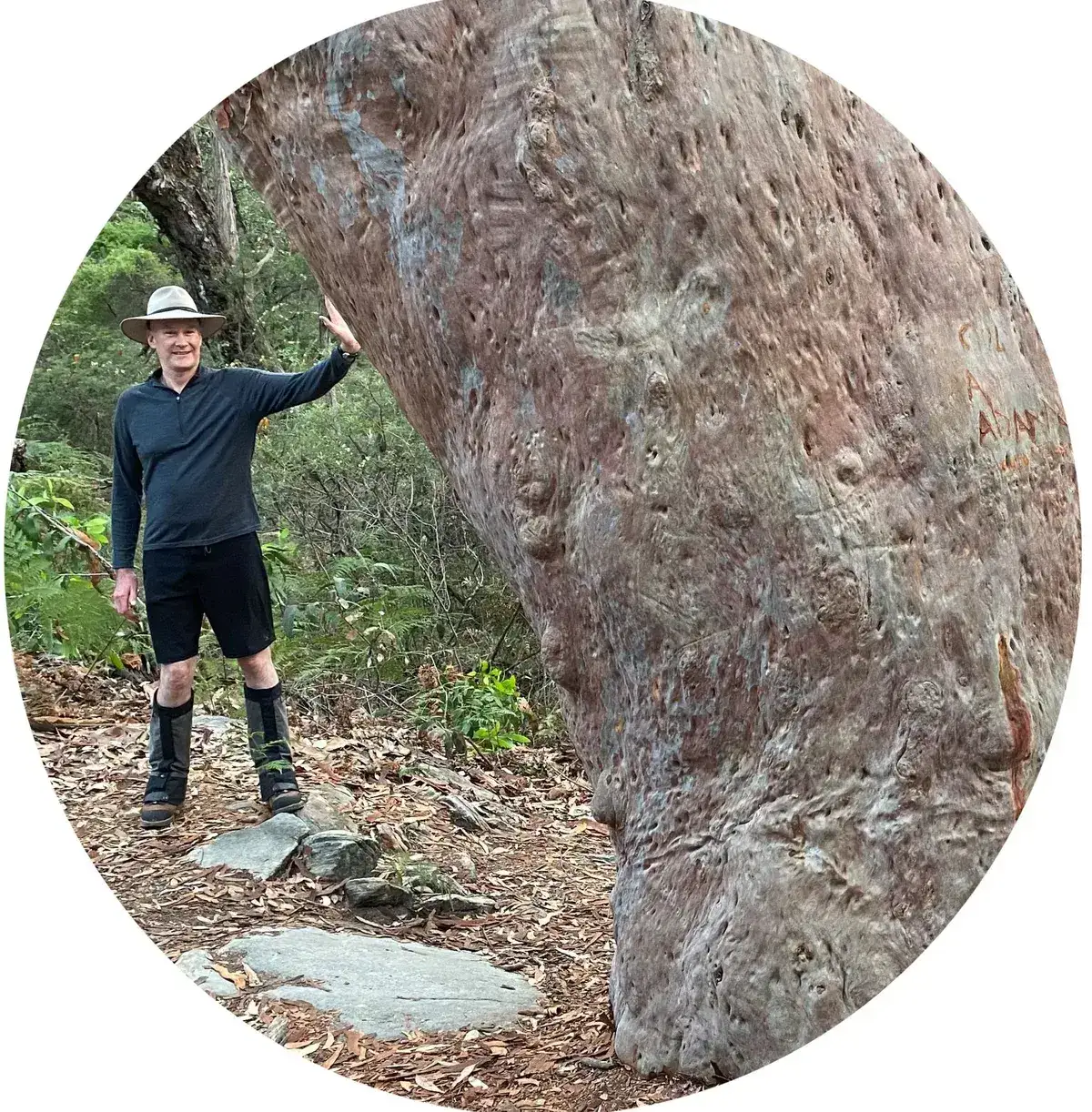 Man standing beside a large tree marked with old carvings