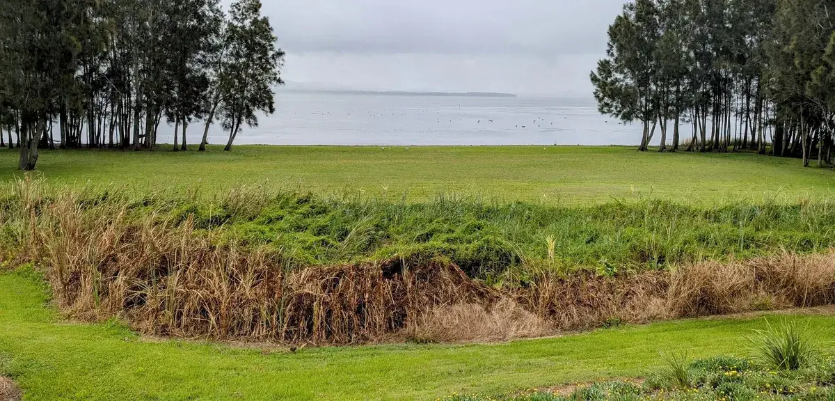 mown grass reserve bordered by reeds along Tuggerah Lake