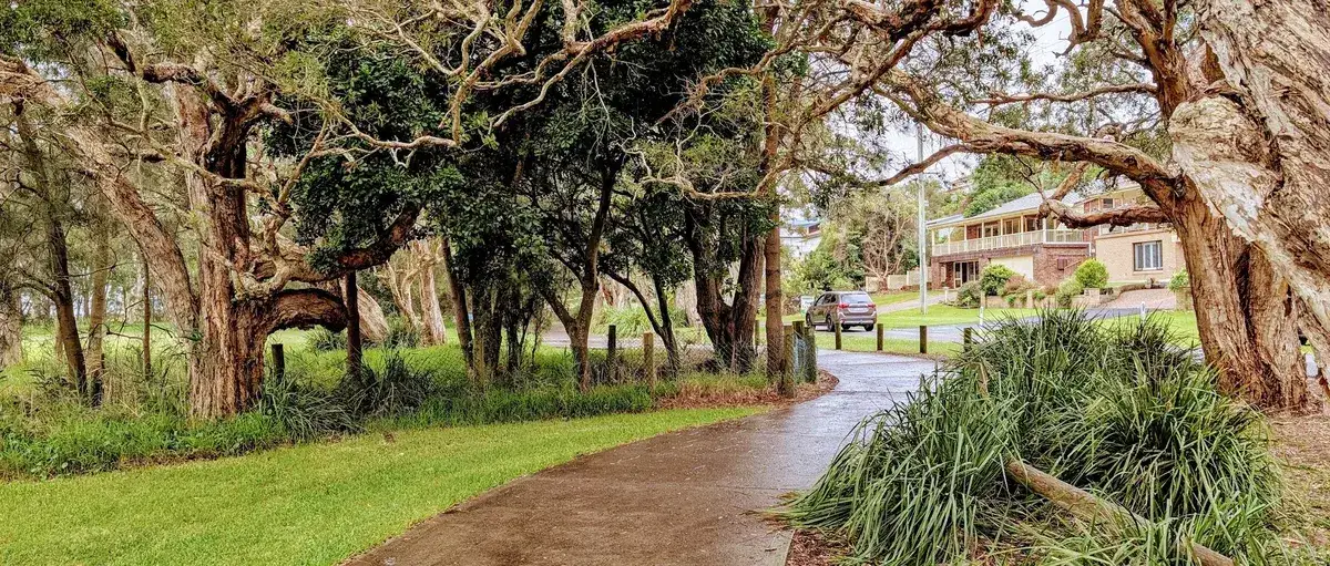 tree lined path leading toward a driveway near lakeside houses