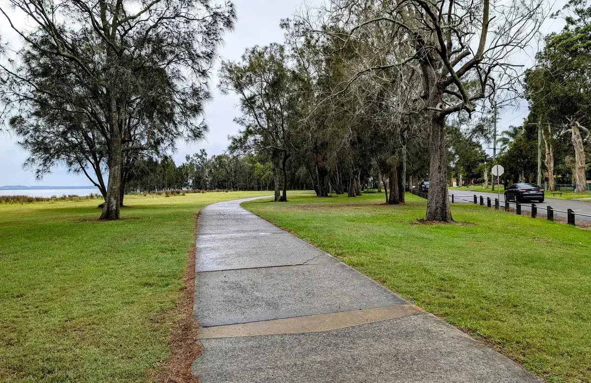 tree lined concrete path through a lakeside reserve near the road