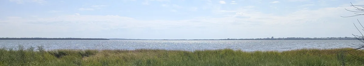 wide view across Tuggerah Lake from the grassy foreshore