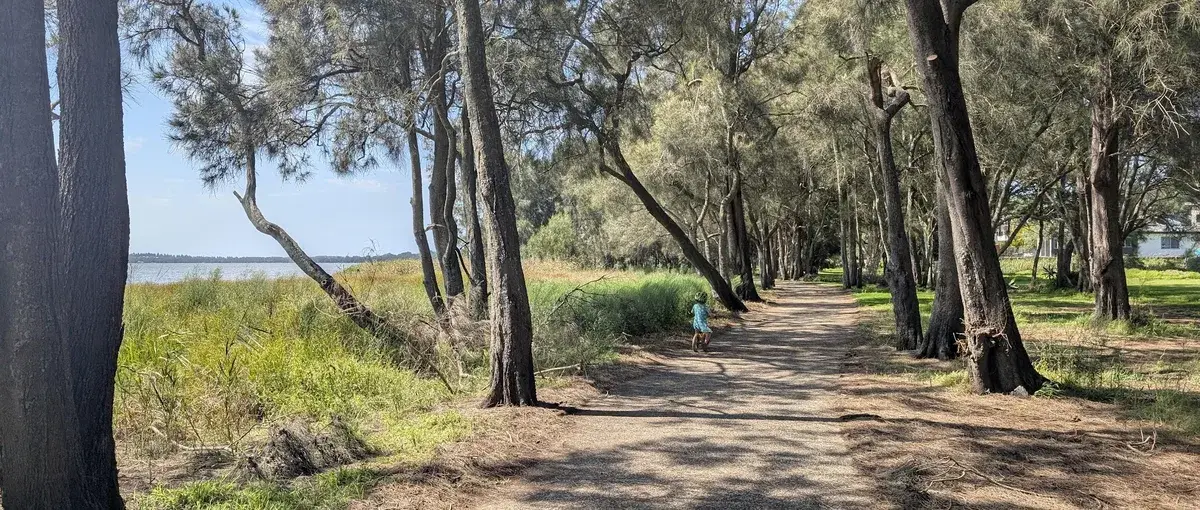child riding a bike along a tree lined path beside Tuggerah Lake