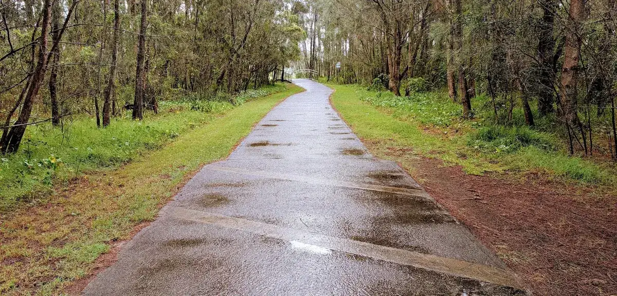 wet sealed path through bushland after rain along the lake walk
